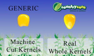 CountryCorn Corn - Order Corn in a Cup, corn cup out of the kernels of truth